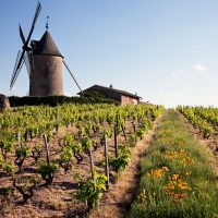 Beaujolais