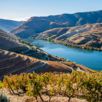 Douro