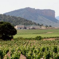 Jumilla