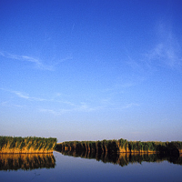 Neusiedlersee