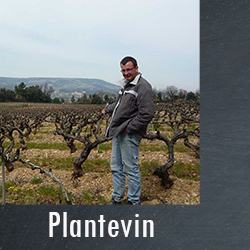 Plantevin