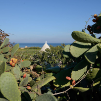 Puglia