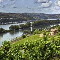 Rheingau