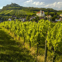Weinviertel