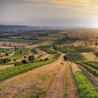 Burgenland