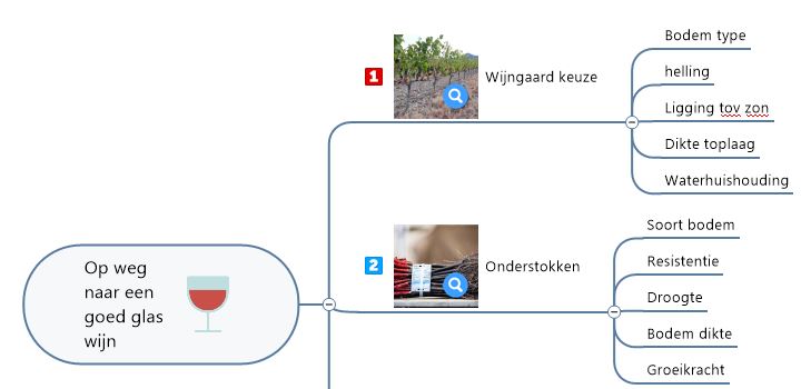 Een schema met de keuzes